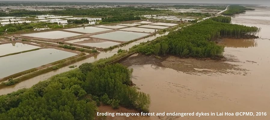 Mekong Delta is home to 50% of Viet Nam’s mangroves, however, sea level rise (SLR) is leading to a coastal squeeze, resulting in the loss of mangroves, fisheries habitat, and biodiversity. The project aims at increasing mangrove cover along 200 km of the lowest and most vulnerable coastlines of the delta.