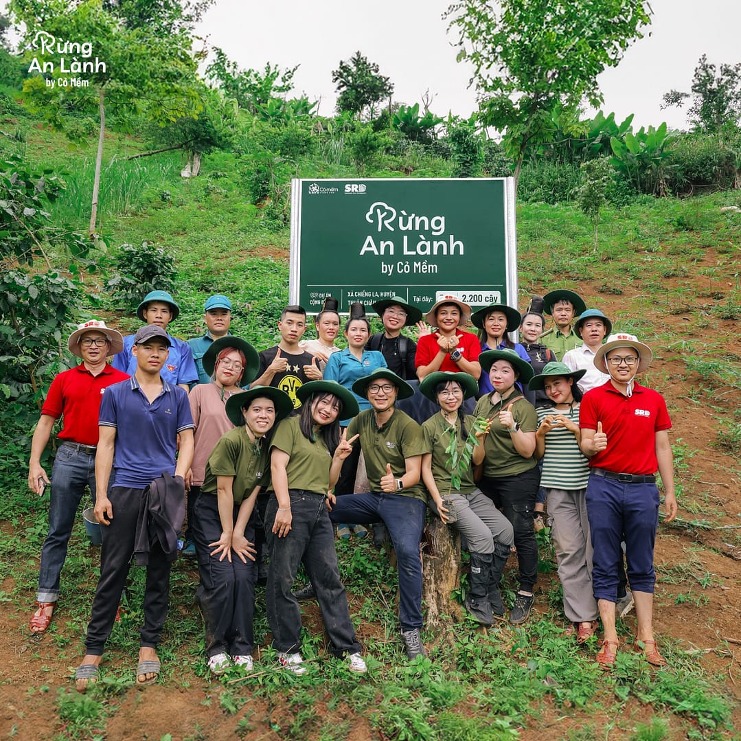 “Rừng An Lành 2024” Campaign