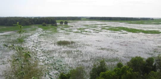 Tramchim_Flood2011_2